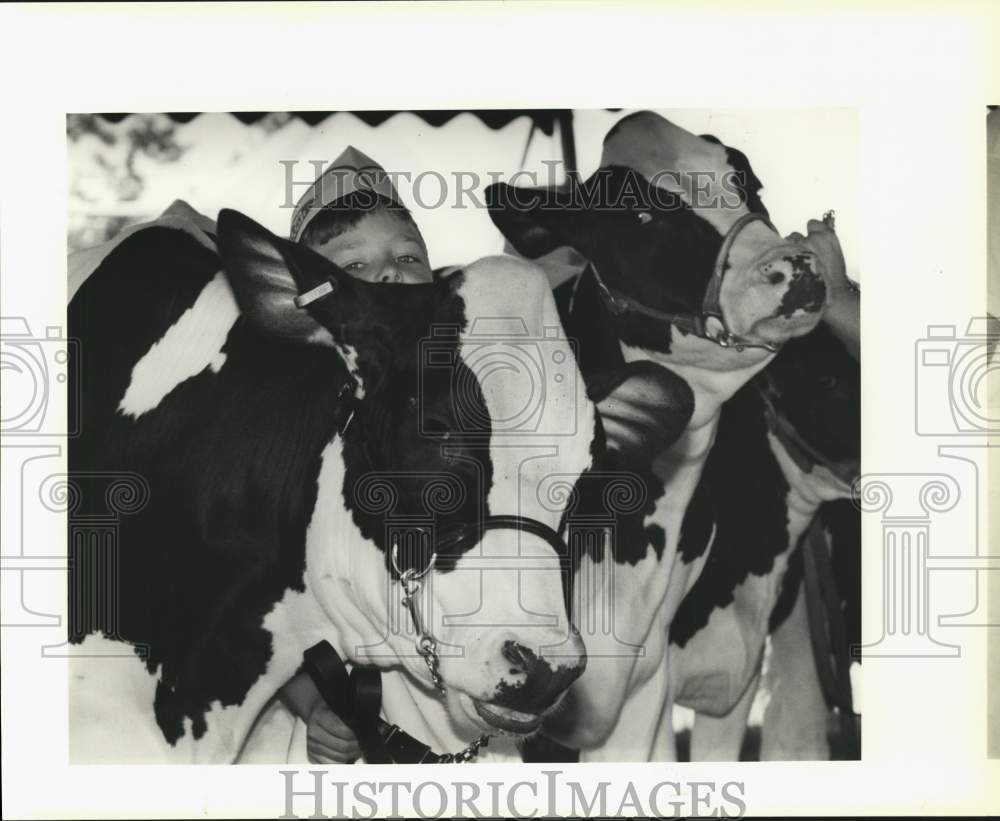 1991 Press Photo Boy with Cows at Cayuga County Fair, New York - sya80851- Historic Images