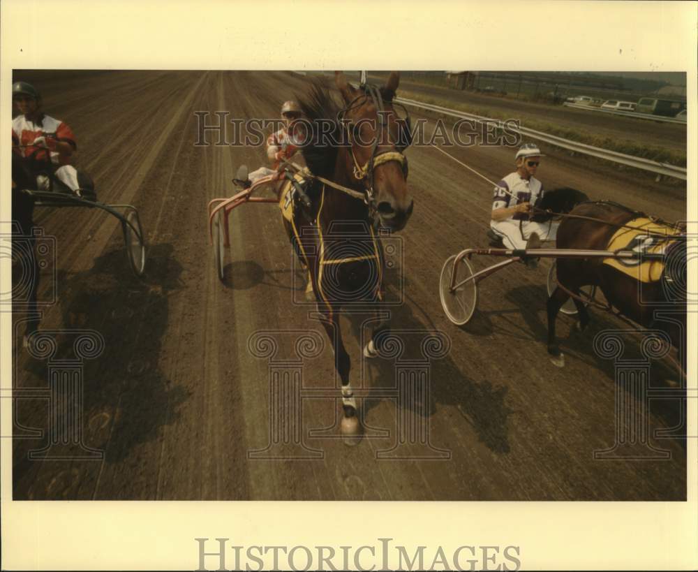 1983 Press Photo Horses start for Syracuse Mile Harness Race, New York- Historic Images