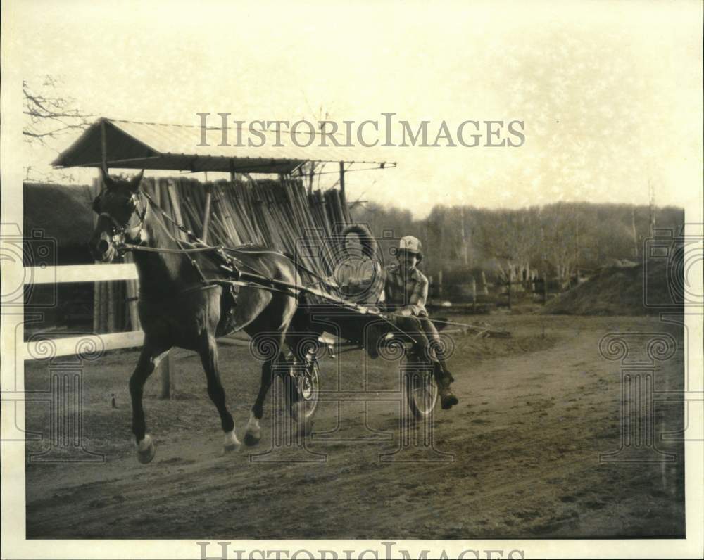 1986 Press Photo Harness Racing Drivers Pat Speciale and Ed Vergar at Young Farm- Historic Images