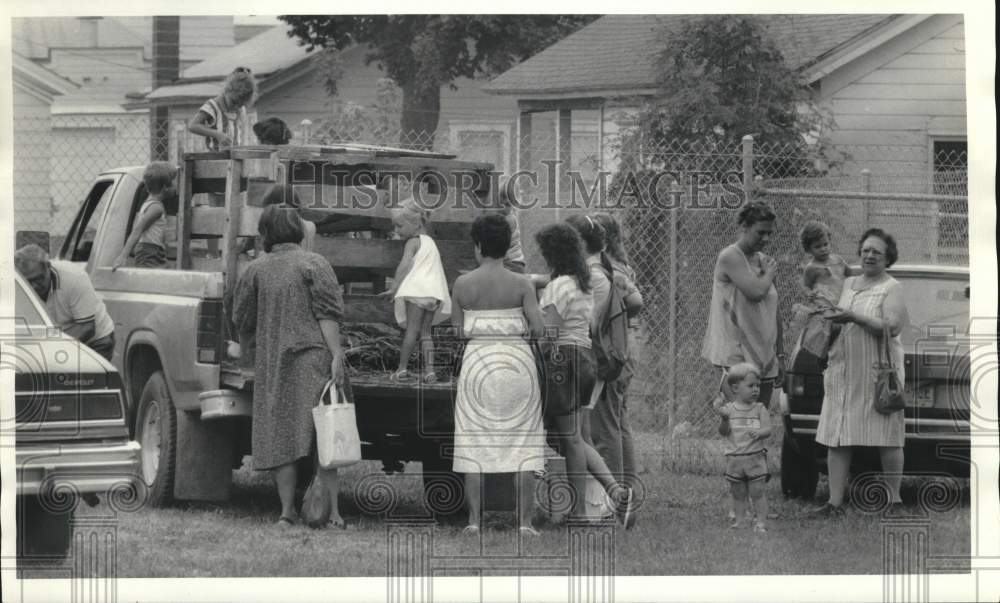 1985 Press Photo Crowd Looks at Pigs in Truck at White Branch Library