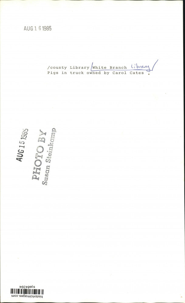 1985 Press Photo Crowd Looks at Pigs in Truck at White Branch Library