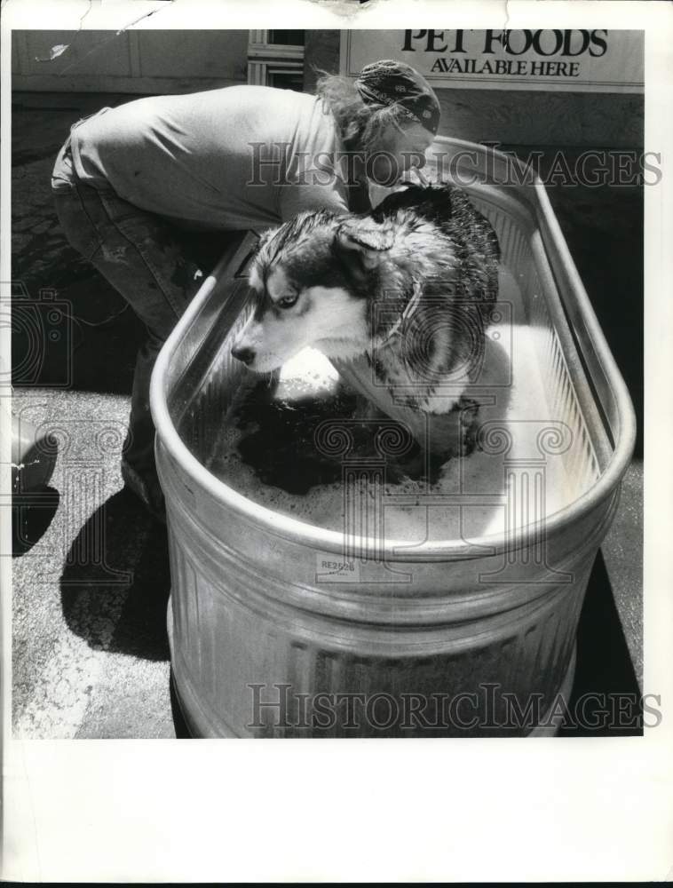 1987 Press Photo Ron Farrington of Baldwinsville Giving Dog Flea Dip in Tub- Historic Images