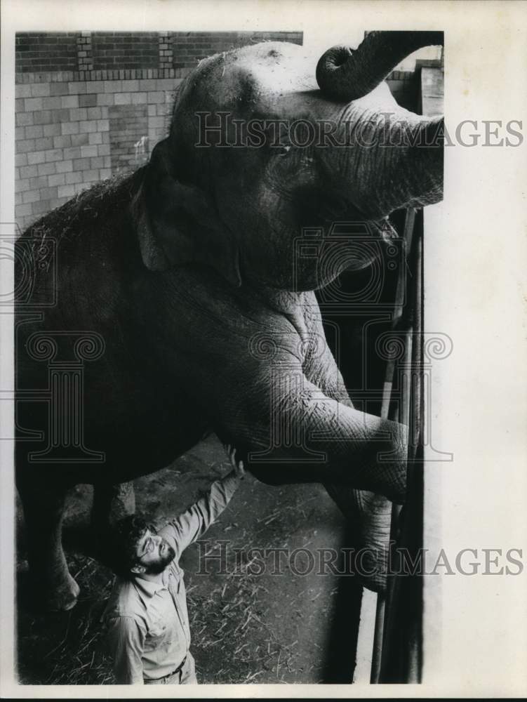 1980 Press Photo Elephant at Burnet Park Zoo with Handler - sya97290- Historic Images