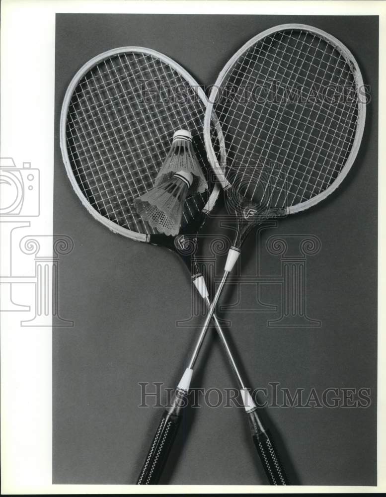 1991 Press Photo Badminton Rackets and Birdies- Historic Images