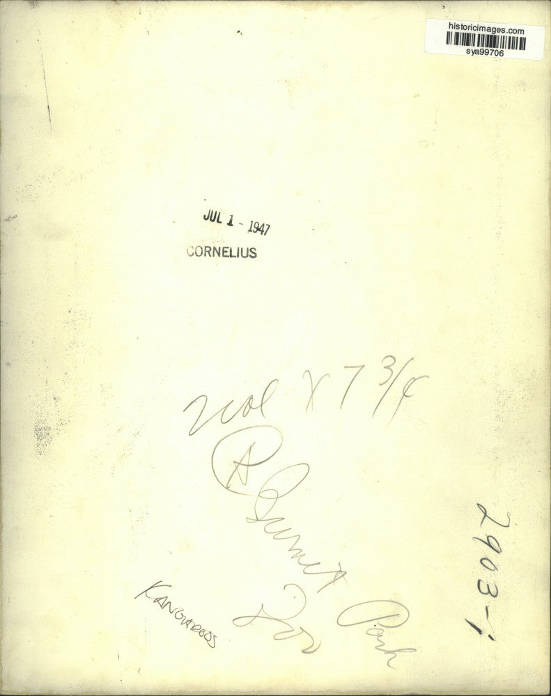 1947 Press Photo Burnet Park Zoo Kangaroo - sya99706