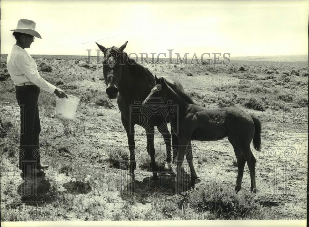 1984 Press Photo Pat Litton visits with her horses near Wright, Wyoming- Historic Images