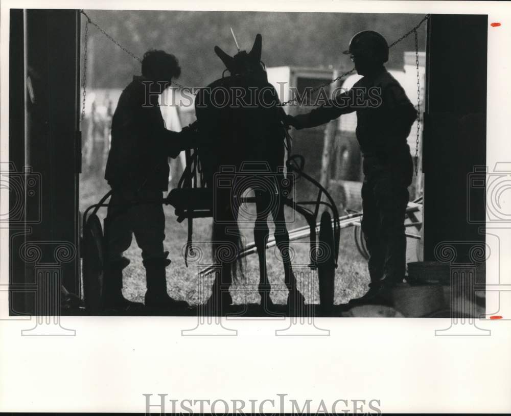 1988 Press Photo &quot;Truly Kash&quot; Horse and Driver Rod McCollough, Oswego Fair- Historic Images