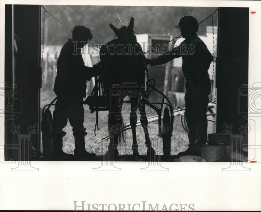 1988 Press Photo "Truly Kash" Horse and Driver Rod McCollough, Oswego Fair- Historic Images