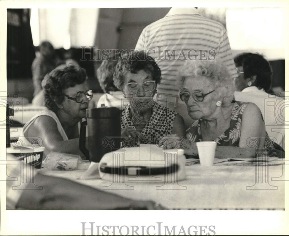 1988 Press Photo Senior Citizens at Sunnycrest Park Party in Syracuse