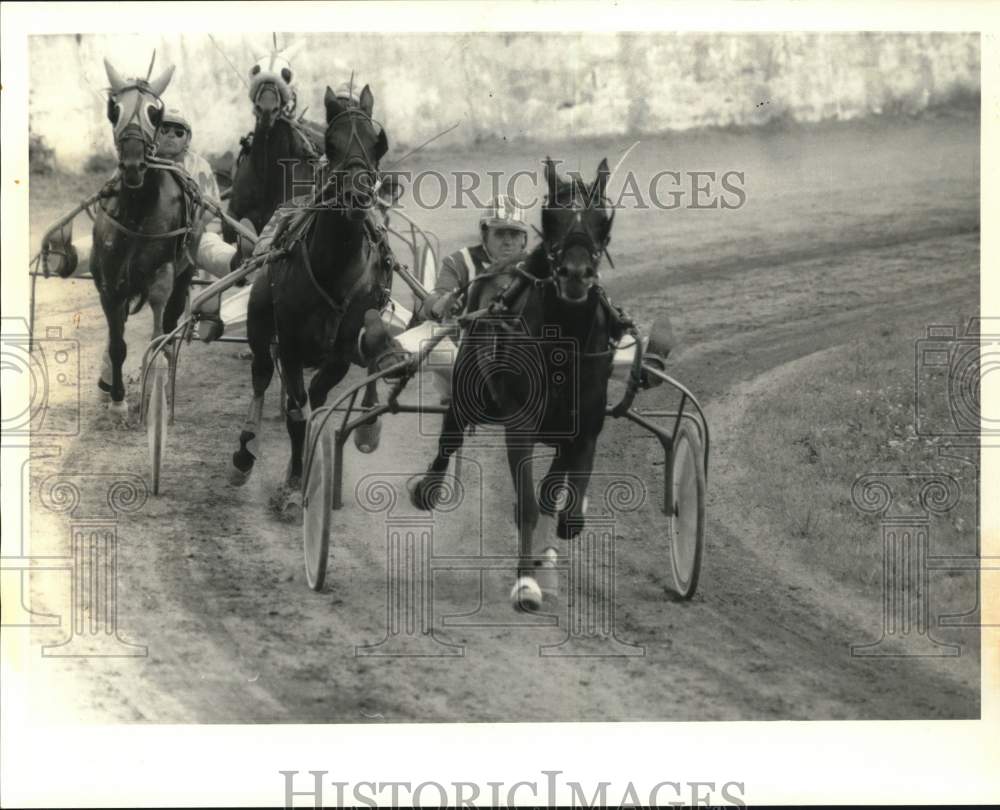 1985 Press Photo Horse and Buggy Race at Seneca County Fair- Historic Images