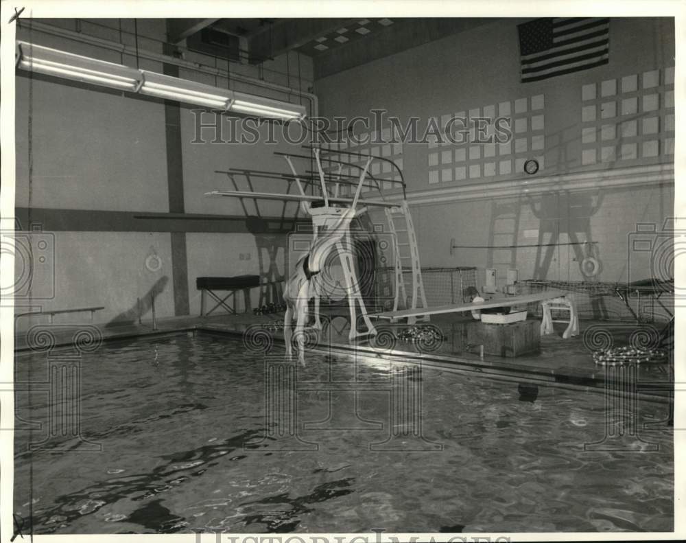 1986 Press Photo Janet Ward dives into WP High School swimming pool - sys07633- Historic Images