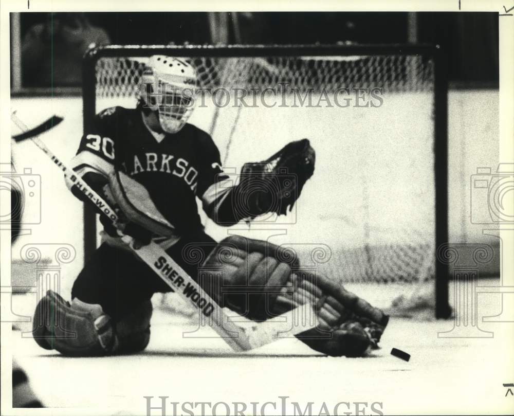 1984 Press Photo Clarkson U hockey goalie Jamie Falle blocks shot on goal- Historic Images