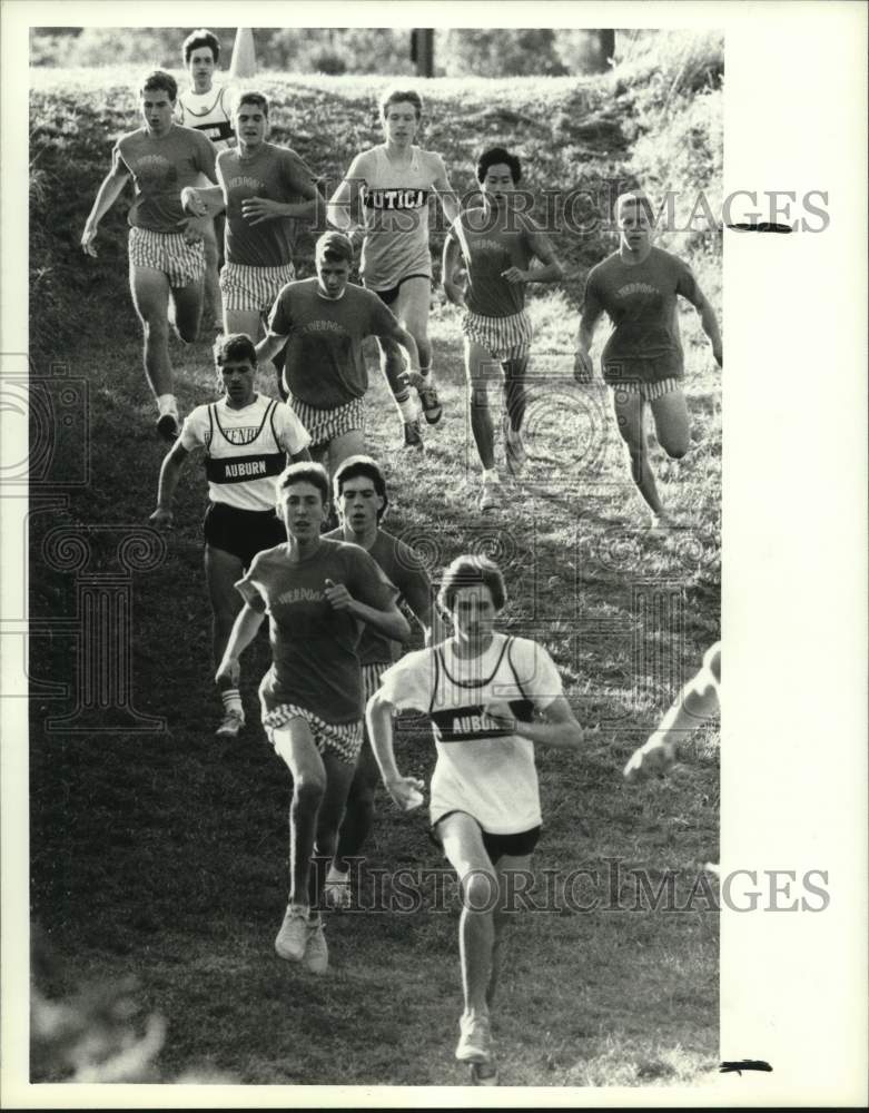 1988 Press Photo Auburn, Liverpool &amp; Utica cross country runners at Van Buren- Historic Images