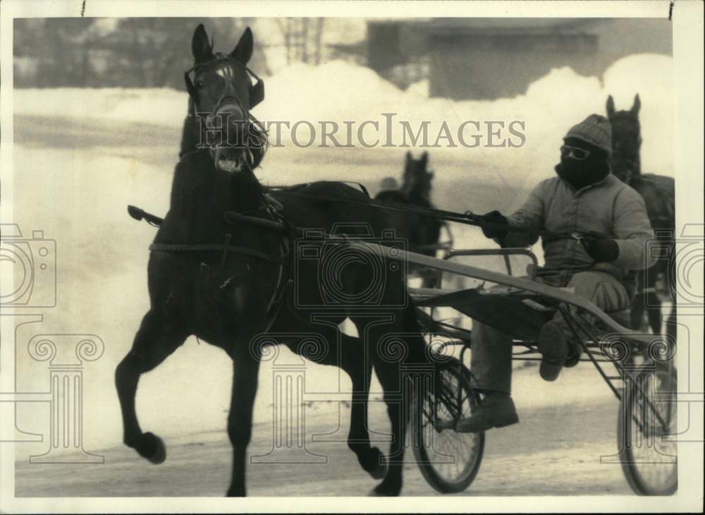 1987 Press Photo Horse during morning workout at Vernon Downs- Historic Images