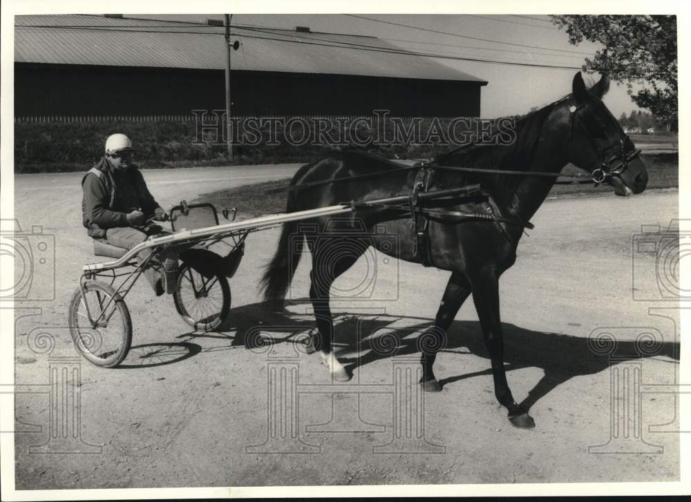 1987 Press Photo Buggy Racing Horse "Stage Door Stevie" at Vernon Track- Historic Images