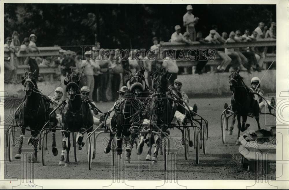 Press Photo Spectators watch Horse Harness Race, Syracuse Mile- Historic Images