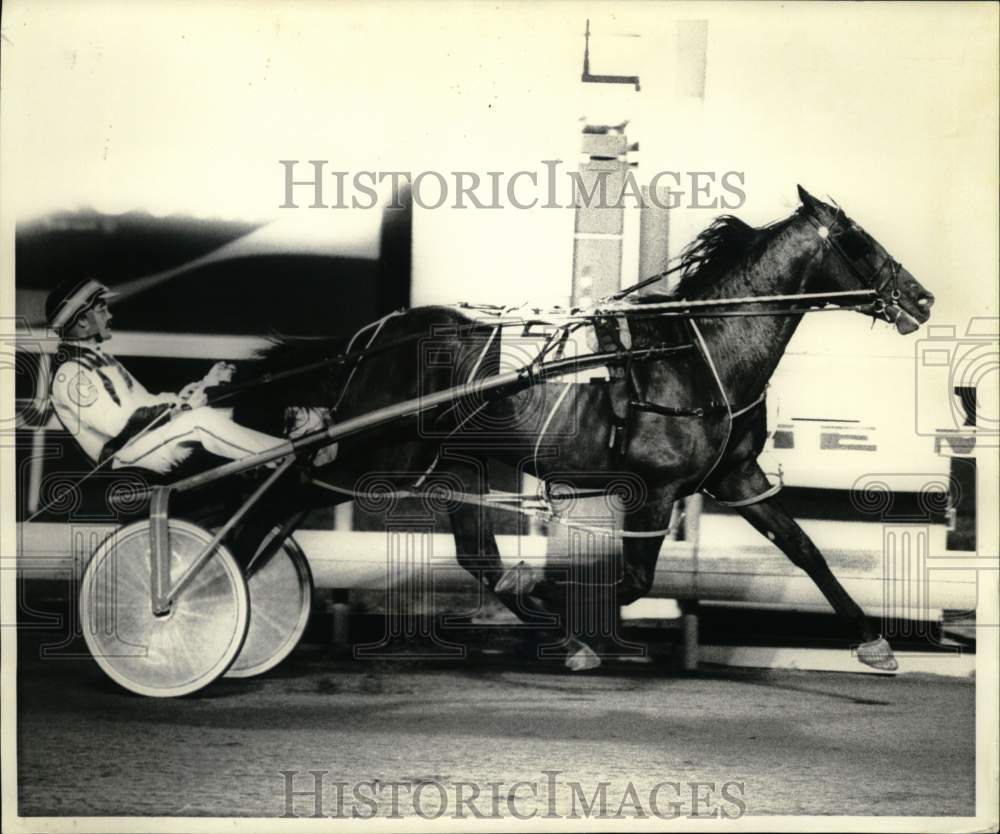 1989 Press Photo Driver and Horse in Harness Racing- Historic Images