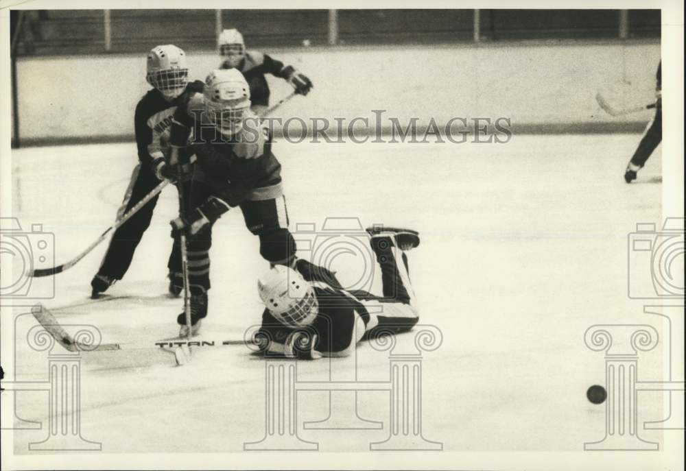 1985 Press Photo Pee Wee Hockey State Tournament Game at Cortland Park Center- Historic Images