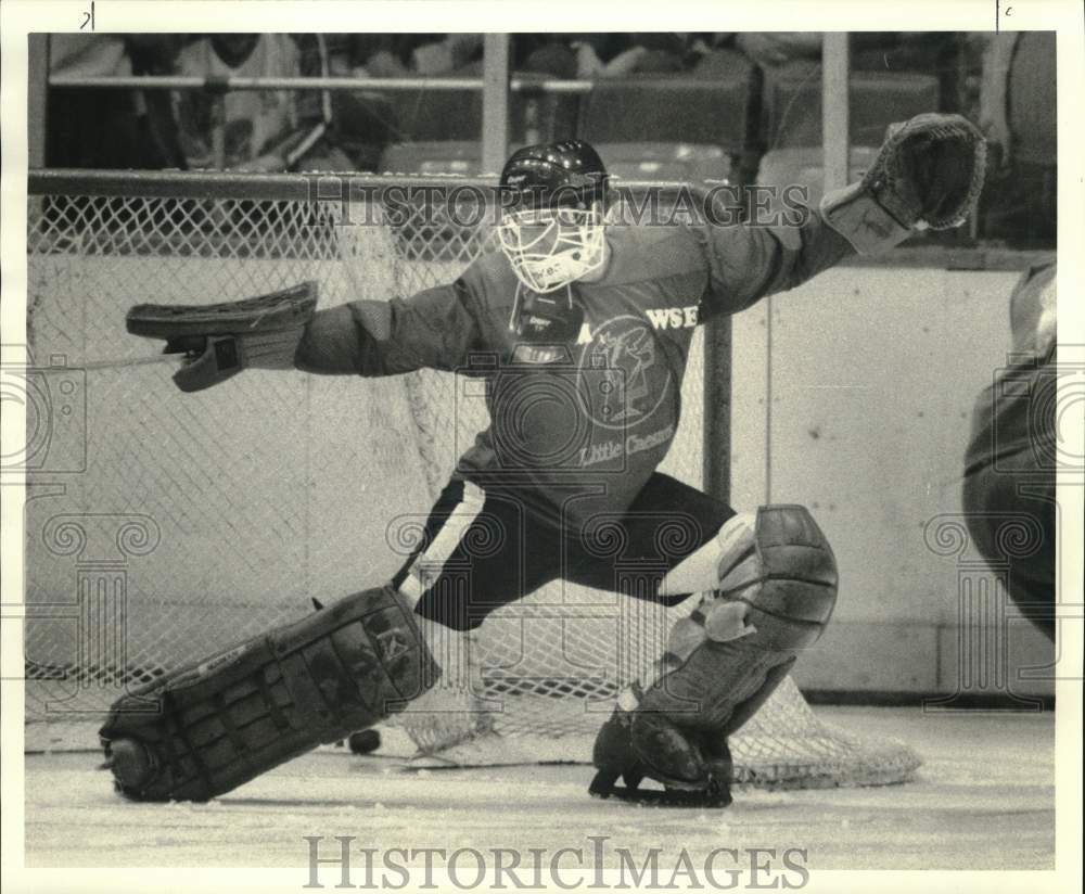 1988 Press Photo Syracuse hockey goalie Wayne Mahar in action- Historic Images