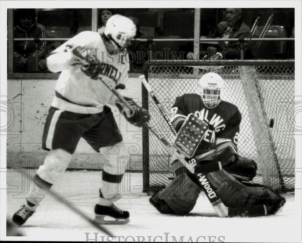 1988 Press Photo Cornell vs. Bowling Green hockey game at War Memorial.- Historic Images