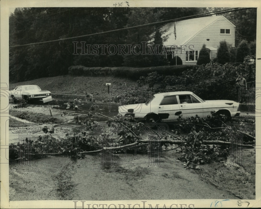 1973 Press Photo Storm debris covers Albany, New York area roadways - tua02197