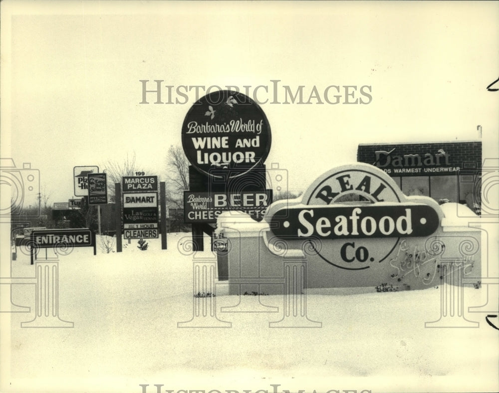 1986 Press Photo Business signs along Wolf Road in Colonie, New York - tua02590- Historic Images