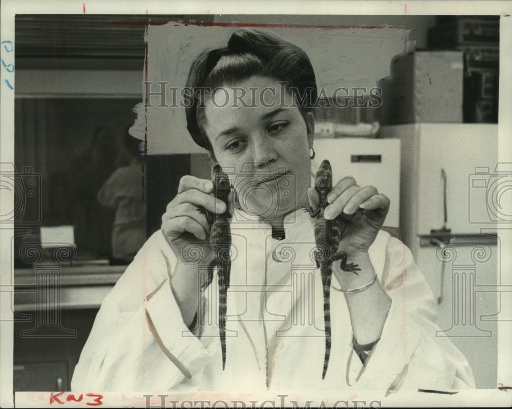 1972 Press Photo Wild Life Technician Susan Shipherd holds crocodiles, New York