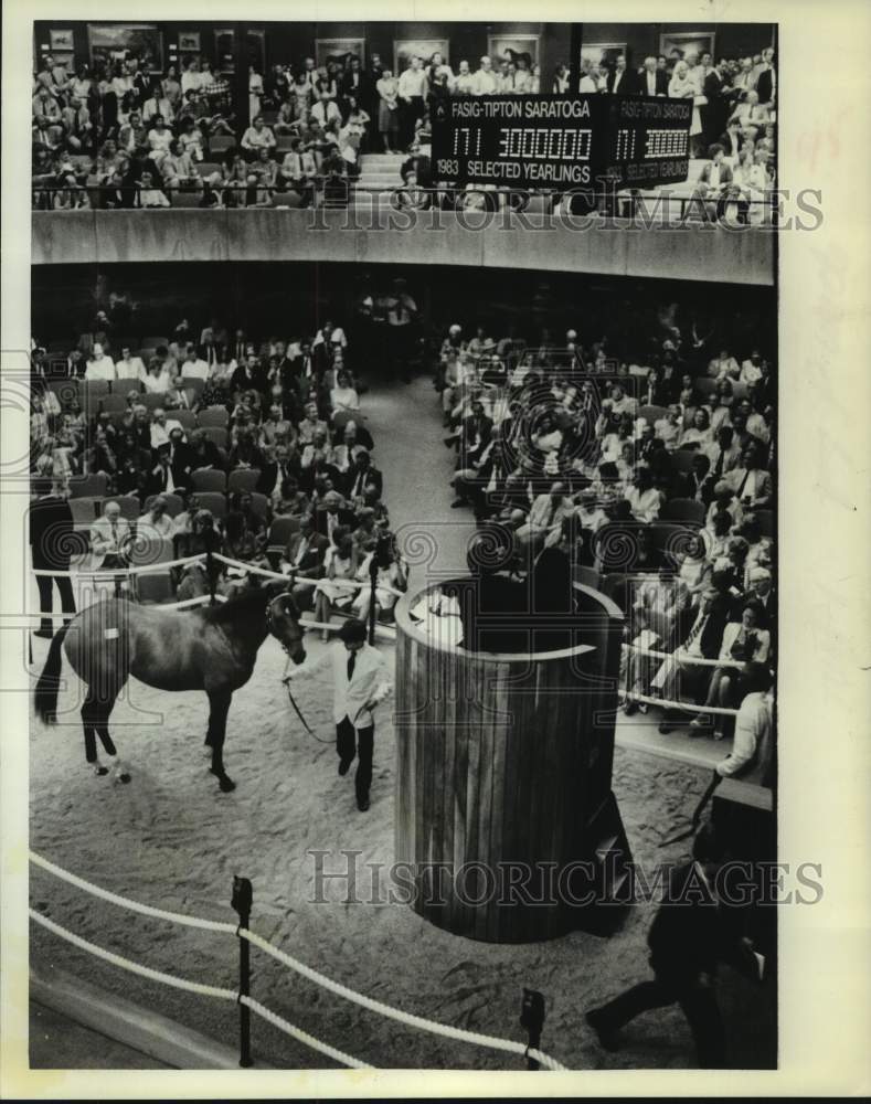 1983 Press Photo Horse offered for sale at Saratoga, New York Yearling Sale- Historic Images