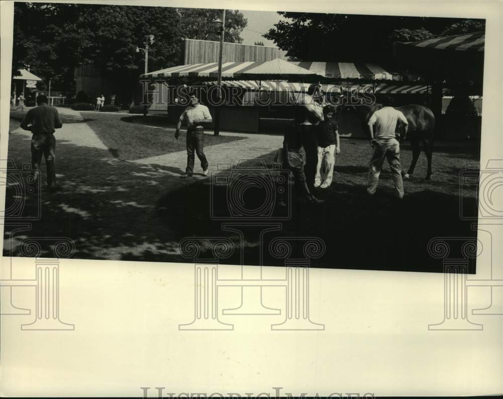 1984 Press Photo Potential buyers inspect horses at Saratoga, NY Yearling Sales- Historic Images