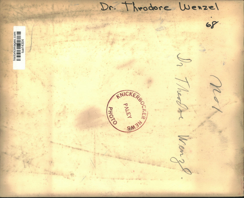 1968 Press Photo Dr. Theodore Wenzl speaks in New York - tua14304