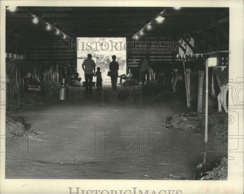 Load image into Gallery viewer, 1974 Press Photo Visitors walk through dairy barn at Schaghticoke Fair, New York

