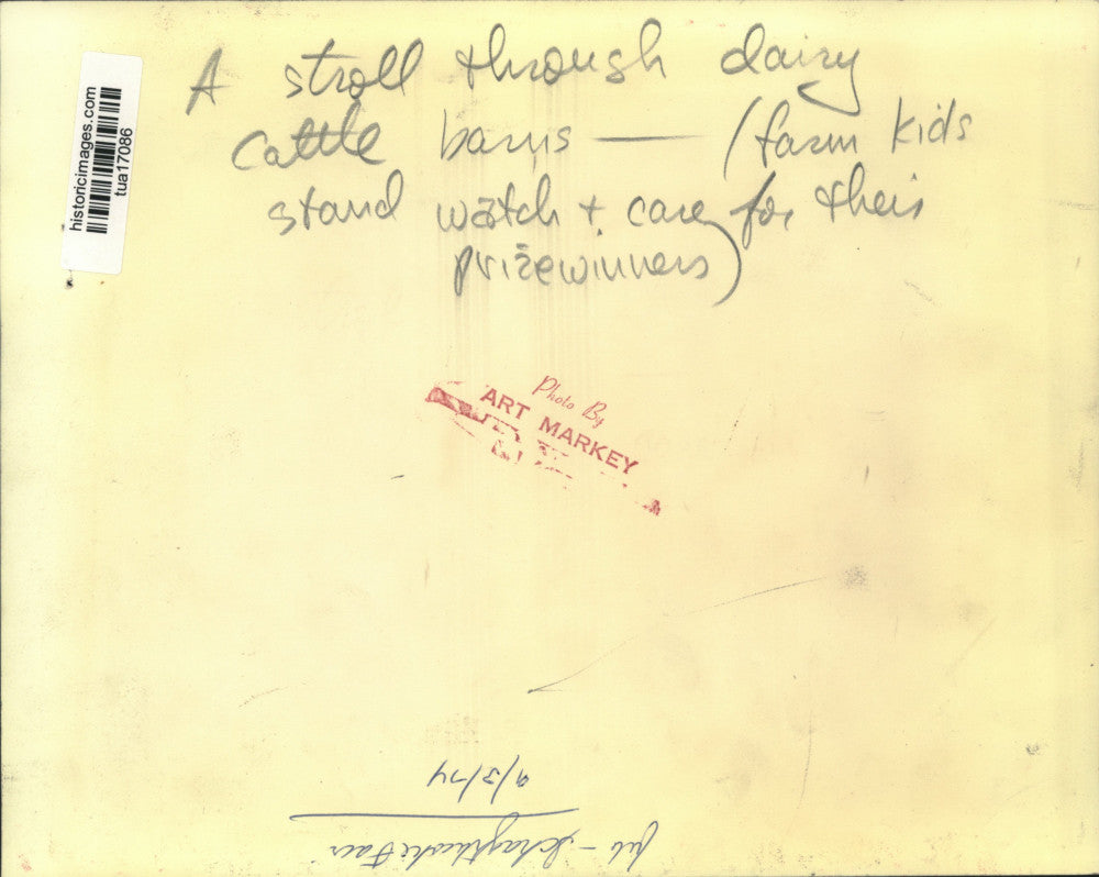 1974 Press Photo Visitors walk through dairy barn at Schaghticoke Fair, New York