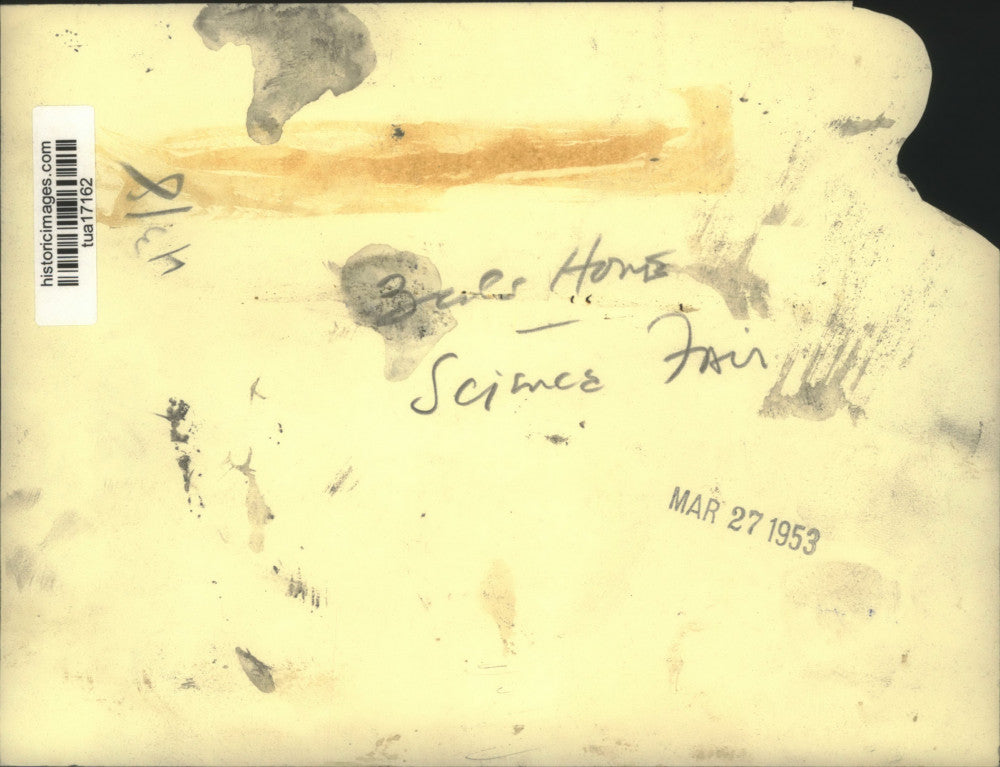 1953 Press Photo Science Fair, New York - tua17162