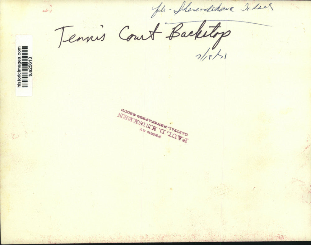 1971 Press Photo Vandalized tennis backstop, Shenendehowa Schools, New York