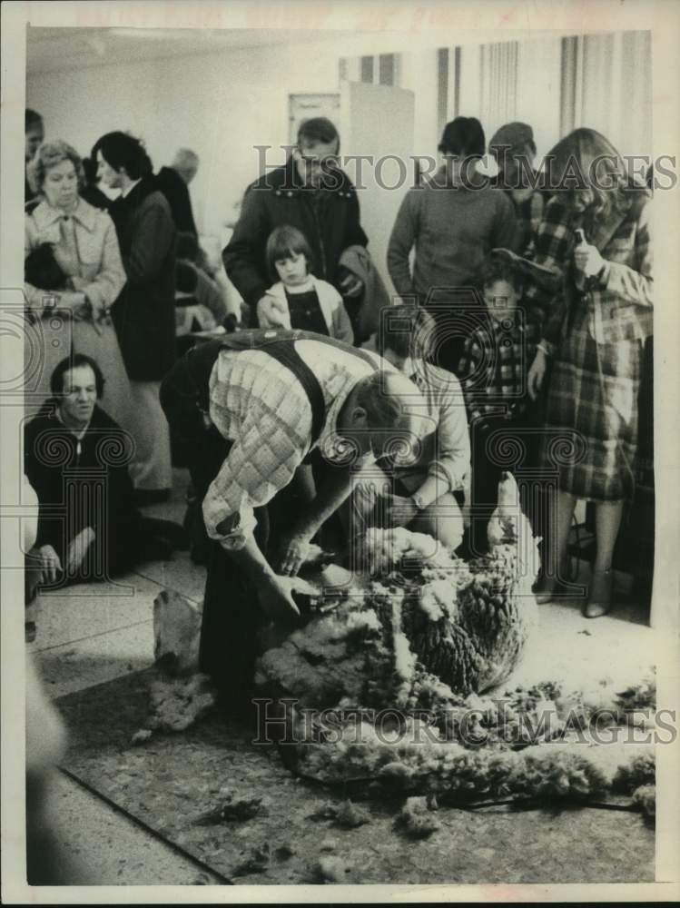 1980 Press Photo Man shears sheep in front of crowd at Empire State Plaza, NY