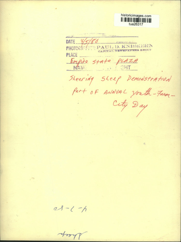 1980 Press Photo Man shears sheep in front of crowd at Empire State Plaza, NY