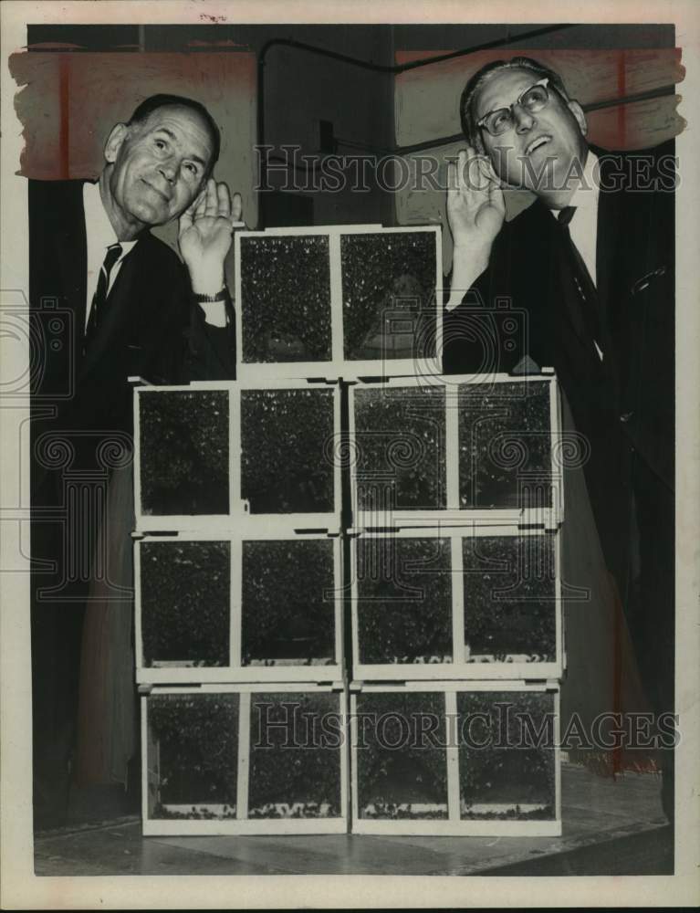 1968 Press Photo US Postmaster John F. Schumaker with beehives in Albany, NY