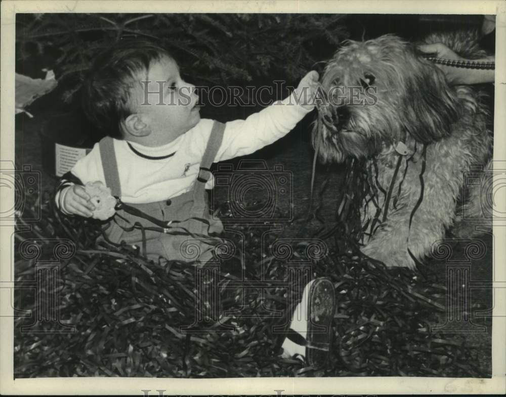 1971 Press Photo Baby and dog sit in pile of audio tape in Albany, New York