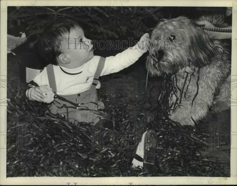 Load image into Gallery viewer, 1971 Press Photo Baby and dog sit in pile of audio tape in Albany, New York
