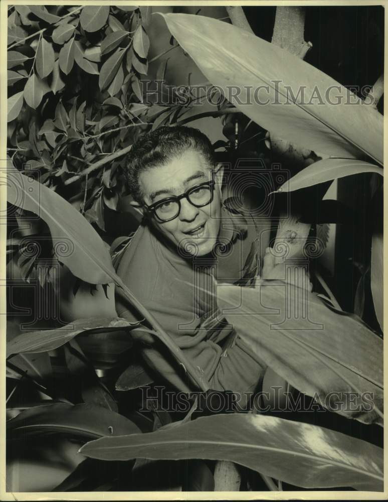 1968 Press Photo Carmen Sgarlata peeks through foliage in New York - tua27601