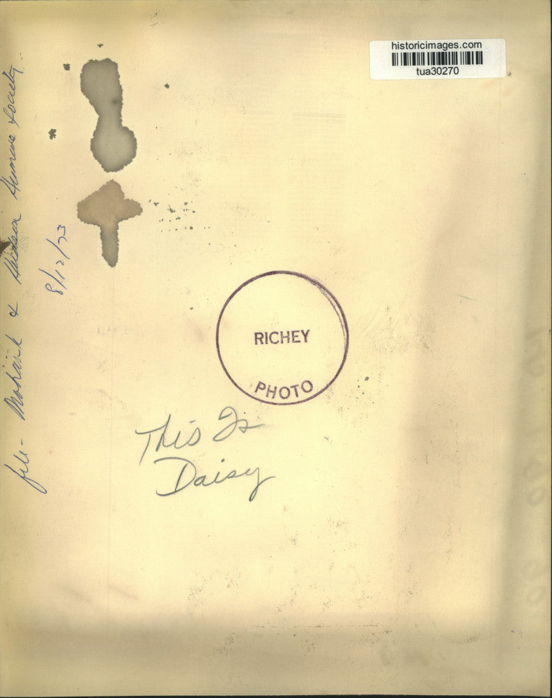 1973 Press Photo Daisy, a dog at the Mohawk & Hudson Humane Society, New York