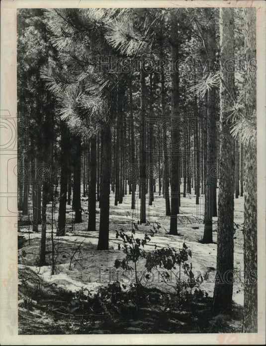 1971 Press Photo Luther Reserve, Malta, New York - tua30362