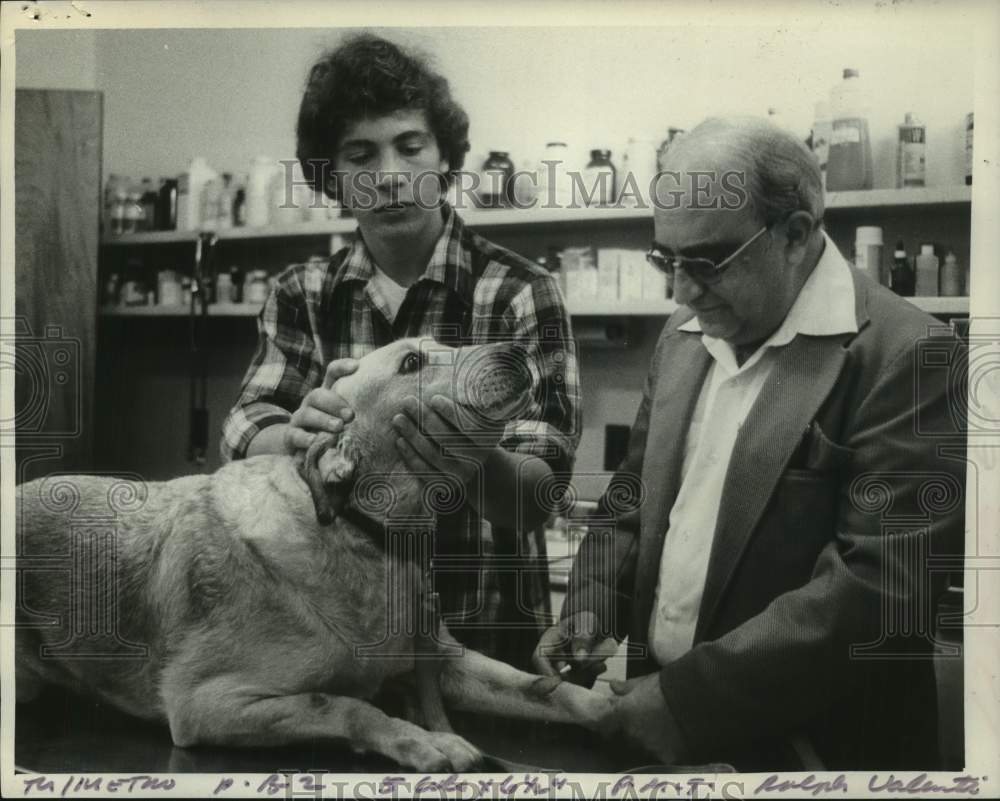 1974 Press Photo Doctor & student tend to pup at Troy, NY Veterinary Hospital