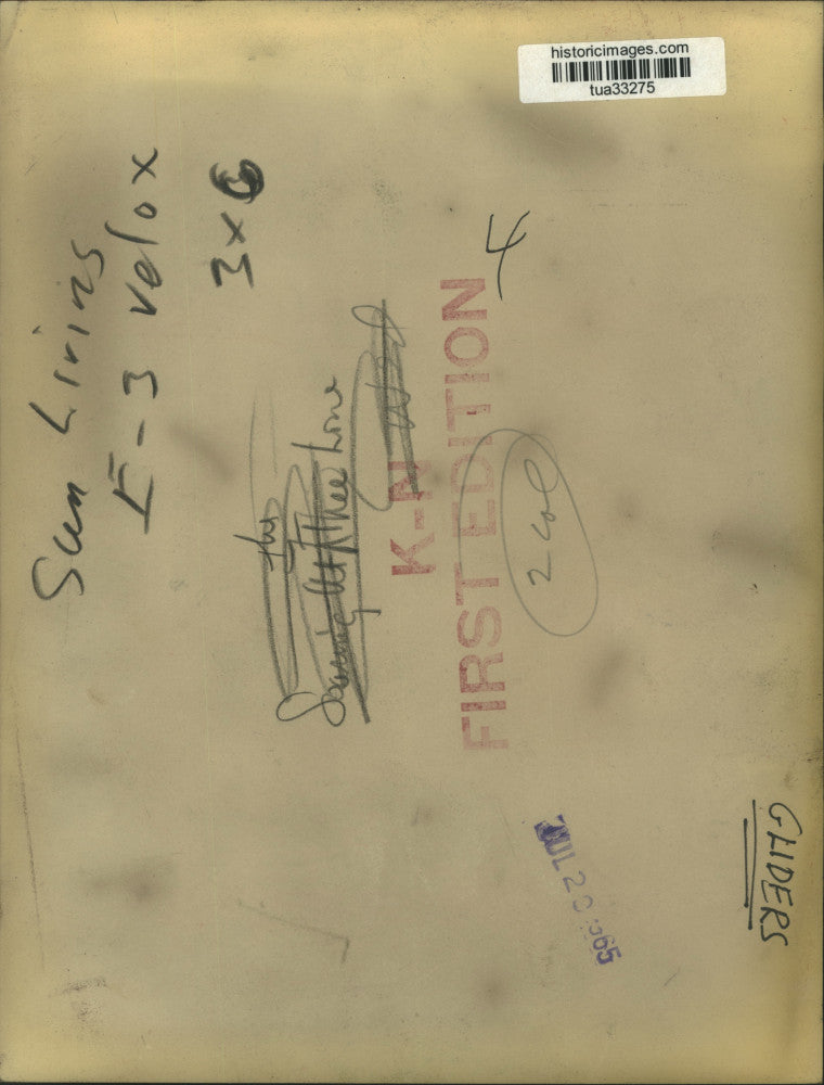 1965 Press Photo Glider flying over tree line in New York - tua33275