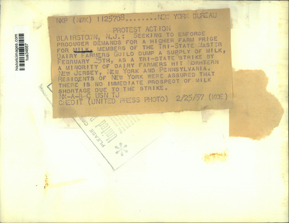 1957 Press Photo Dairy farmers dump milk during strike in Northeastern US