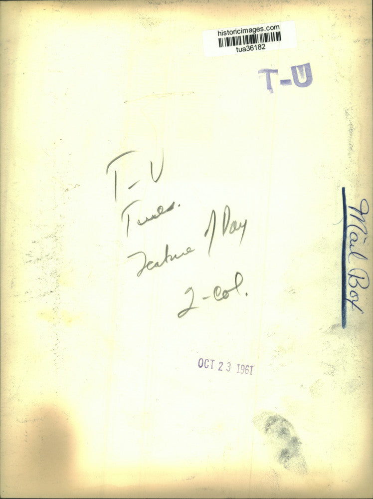 1961 Press Photo Mailbox outside home in Albany, New York - tua36182