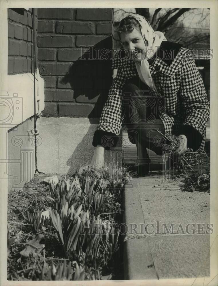 Load image into Gallery viewer, 1963 Press Photo Mrs. Fred Metzger pulls weeds in her Albany, New York garden
