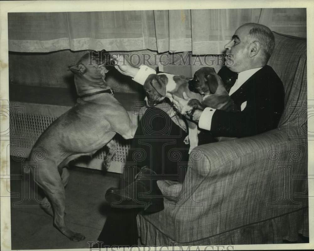 1940 Press Photo New York Governor Herbert Lehman with dog and her puppies- Historic Images