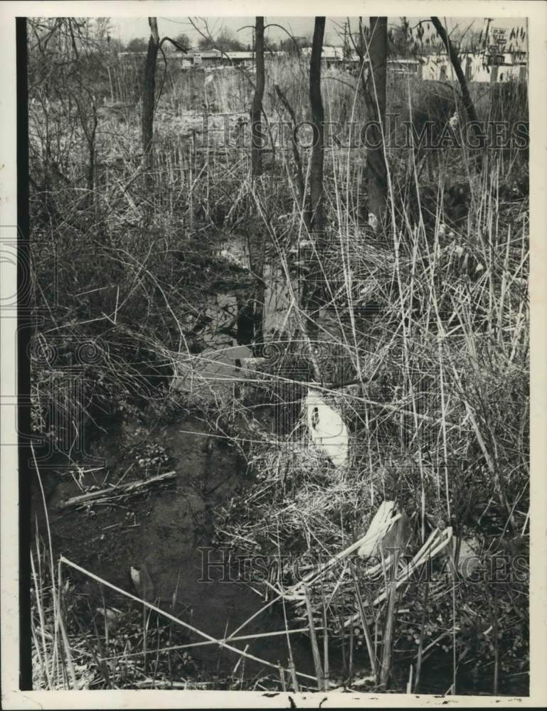 1974 Press Photo Small brook runs through field near shops in Latham, New York