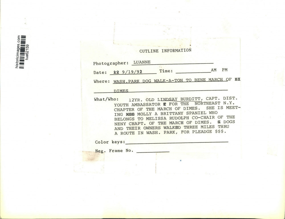 1992 Press Photo Dog Walk-a-Thon in Albany, New York to benefit March of Dimes